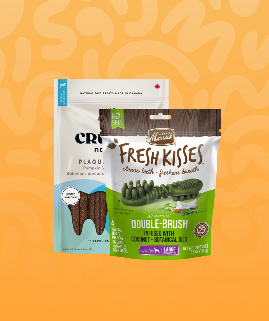 フランス語 名前 犬 - french dog name tag accessories