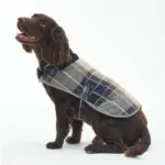 Barbour　タータンドッグコート