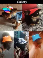 犬 猫 帽子 キャップ ペット 服 - Image 4