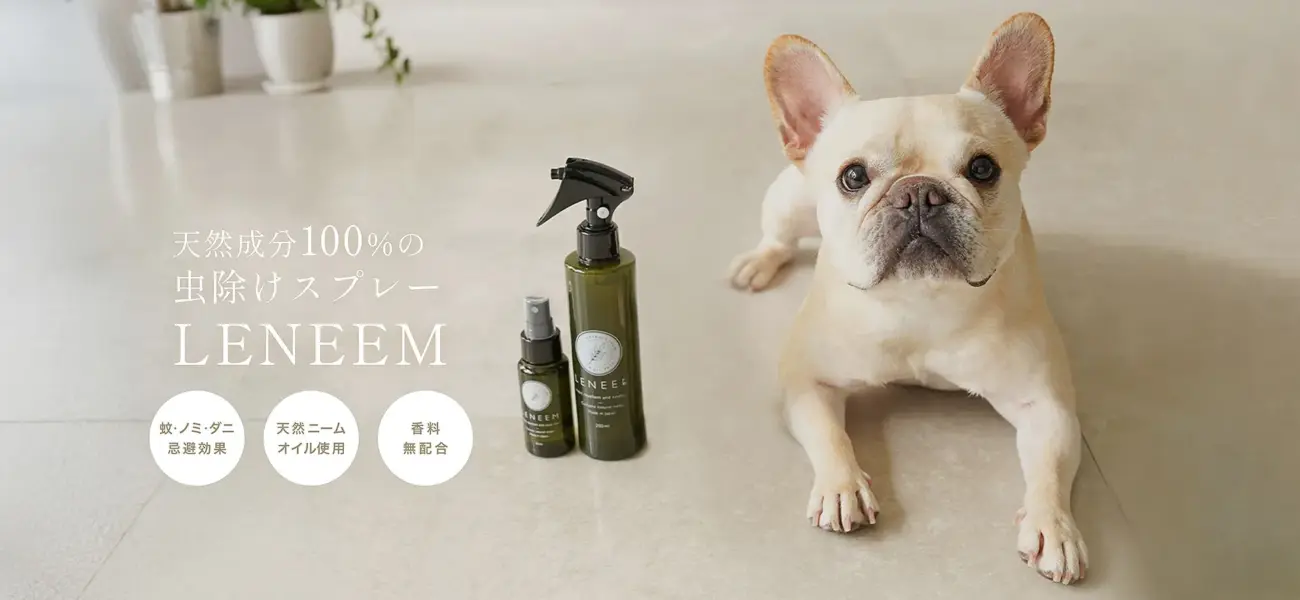 犬 服 チェック - Professional Guide and Review