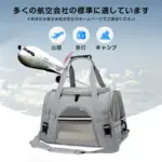 猫用 犬用 ペットキャリー バッグ 折りたたみ リュック 2way おしゃれ 中敷きマット付き