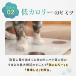 キャットフード​ 猫の餌 - Image 3