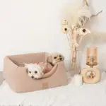 2wayペットハウス - Image 8