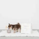 キルティング刺繍マルチボックス【名入れ刺繍対応】 - Image 7