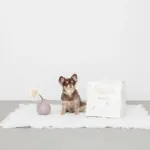 キルティング刺繍マルチボックス【名入れ刺繍対応】 - Image 9