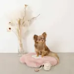 ファーフラワーペットベッドマット - Image 3