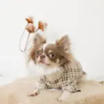 ファーフラワーペットベッドマット - Image 6