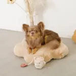 ファーフラワーペットベッドマット - Image 10