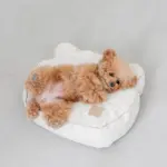 くまさんフェイスドッグベッド - Image 7