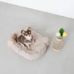 くまさんフェイスドッグベッド - Image 9