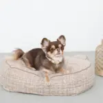 くまさんフェイスドッグベッド - Image 10