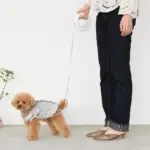 リングライトリード - Image 2