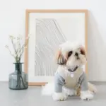 レザークラフトサークルネックレス - Image 4