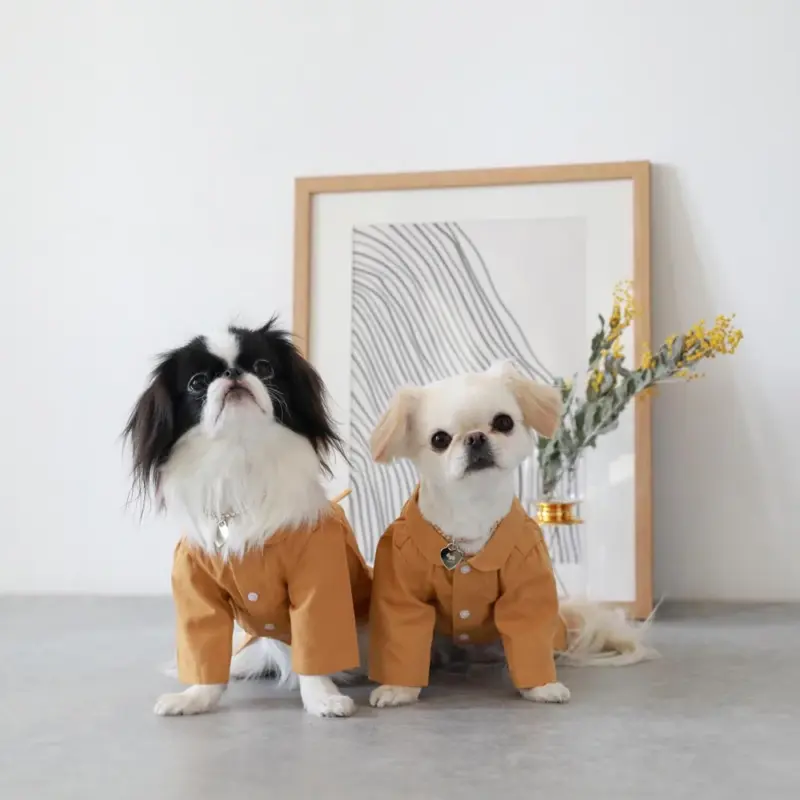 ジャケット 犬 - Professional Guide and Review