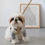 レザーハーネス　SMALL - Image 10