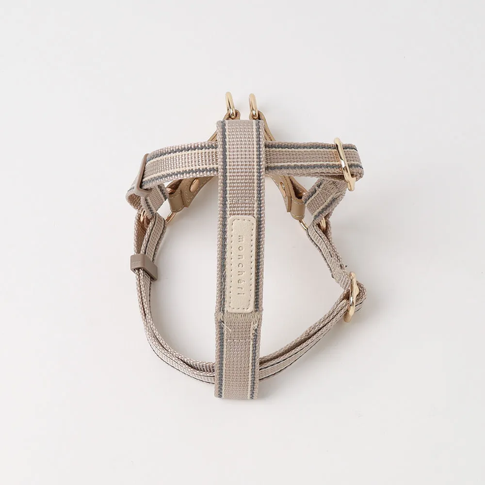 犬 用 首輪 光る反射タイプ 夜間お散歩シーン