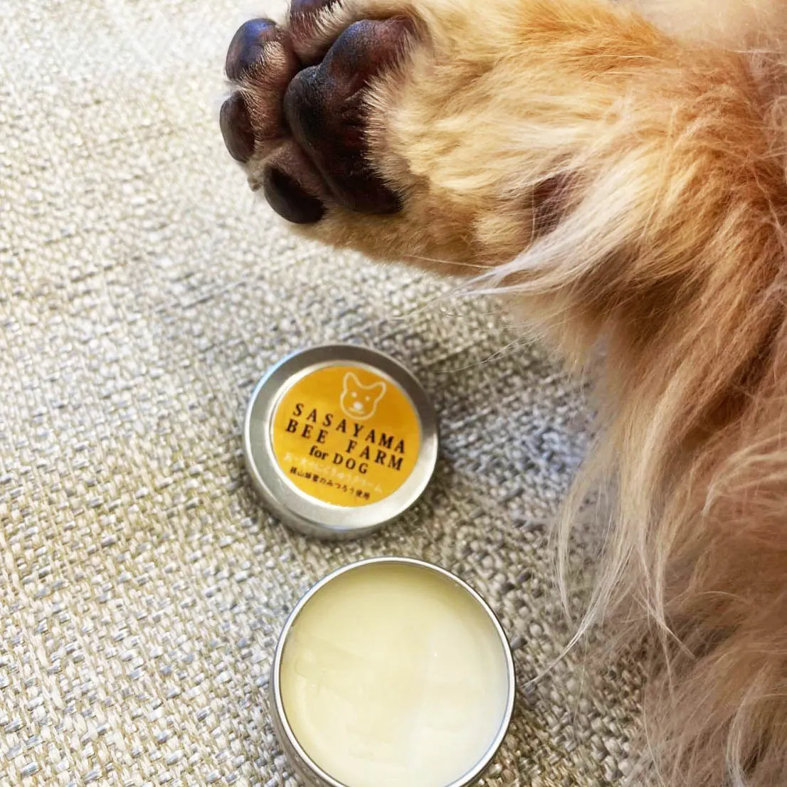 犬 服 チェックの安全基準クーポン付きタグ