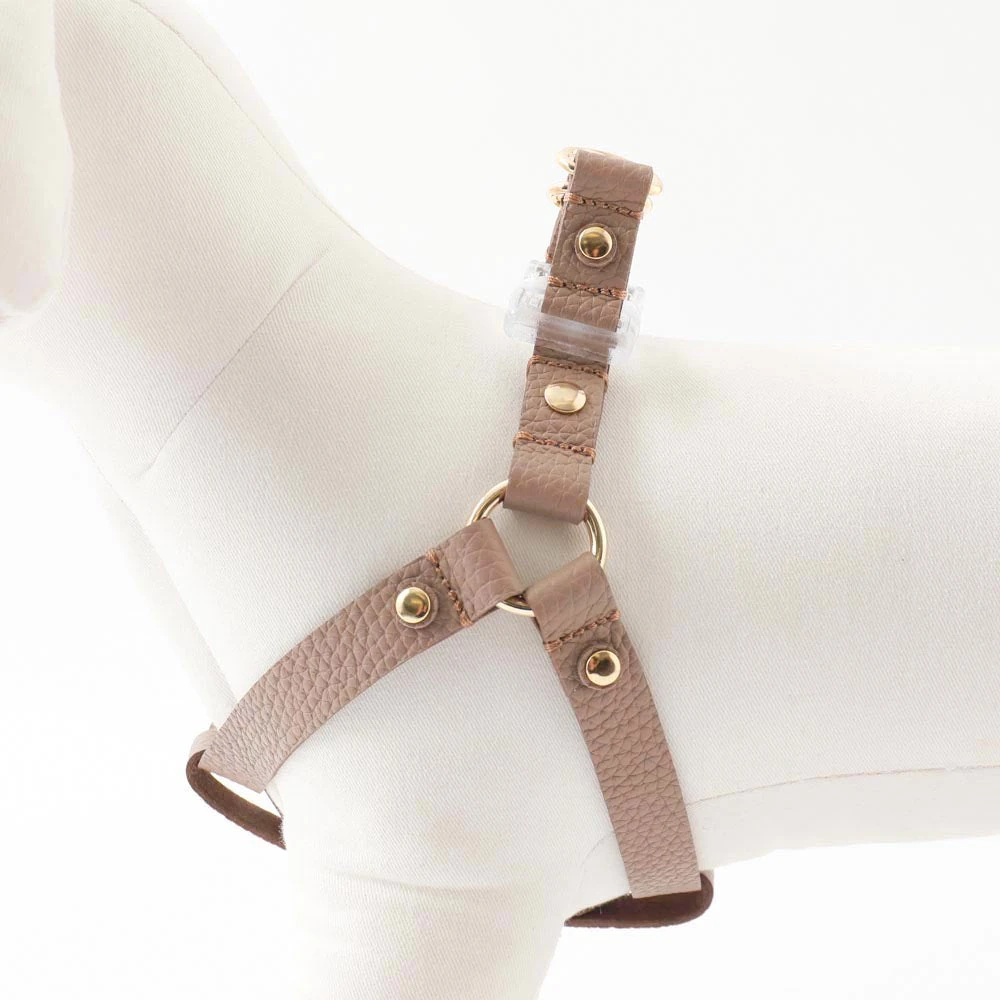 犬 サイズ 表 - dog owner measuring pet for clothes