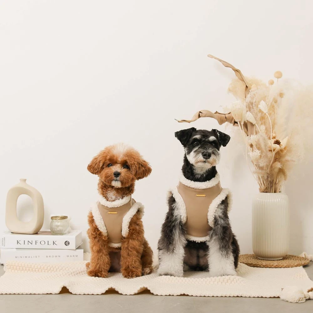 トイ プードル の 値段 比較 2